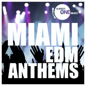 ดาวน์โหลดและฟังเพลง Party People 303 (A.C.N. & Double Amp Remix) พร้อมเนื้อเพลงจาก SL Curtiz