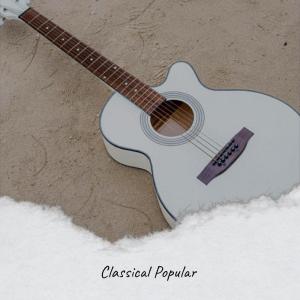 Various的专辑Classical Popular
