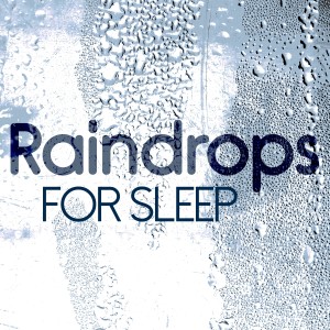 ดาวน์โหลดและฟังเพลง Bad Weather พร้อมเนื้อเพลงจาก Raindrops Sleep