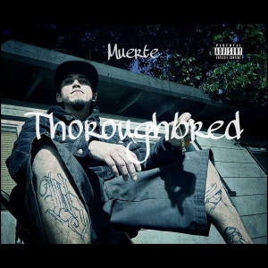 Listen to Up in the Valley (Explicit) song with lyrics from Muerte
