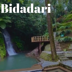Johan的專輯Bidadari