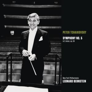 ดาวน์โหลดและฟังเพลง Symphony No. 5 in E Minor, Op. 64, TH 29: II. Andante cantabile con alcuna licenza พร้อมเนื้อเพลงจาก Leonard Bernstein