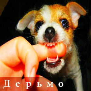 Listen to Дерьмо song with lyrics from DJ多多