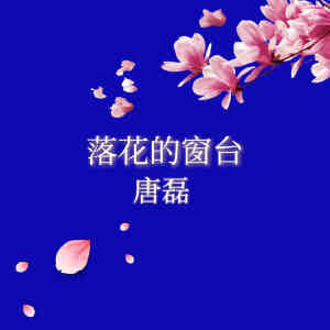 Album 落花的窗台 from 唐磊