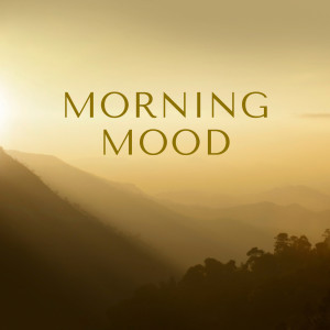 Various Artists的專輯Morning Mood - Debussy