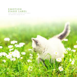 ดาวน์โหลดและฟังเพลง Evening Night Bright Street พร้อมเนื้อเพลงจาก Zerina