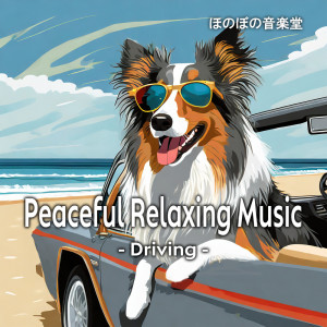 Relaxing Music Room的專輯Peaceful Relaxing Music -Driving-