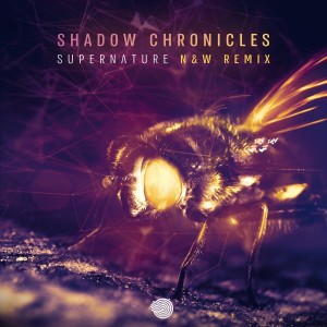ดาวน์โหลดและฟังเพลง Supernature (N & W Remix) พร้อมเนื้อเพลงจาก Shadow Chronicles
