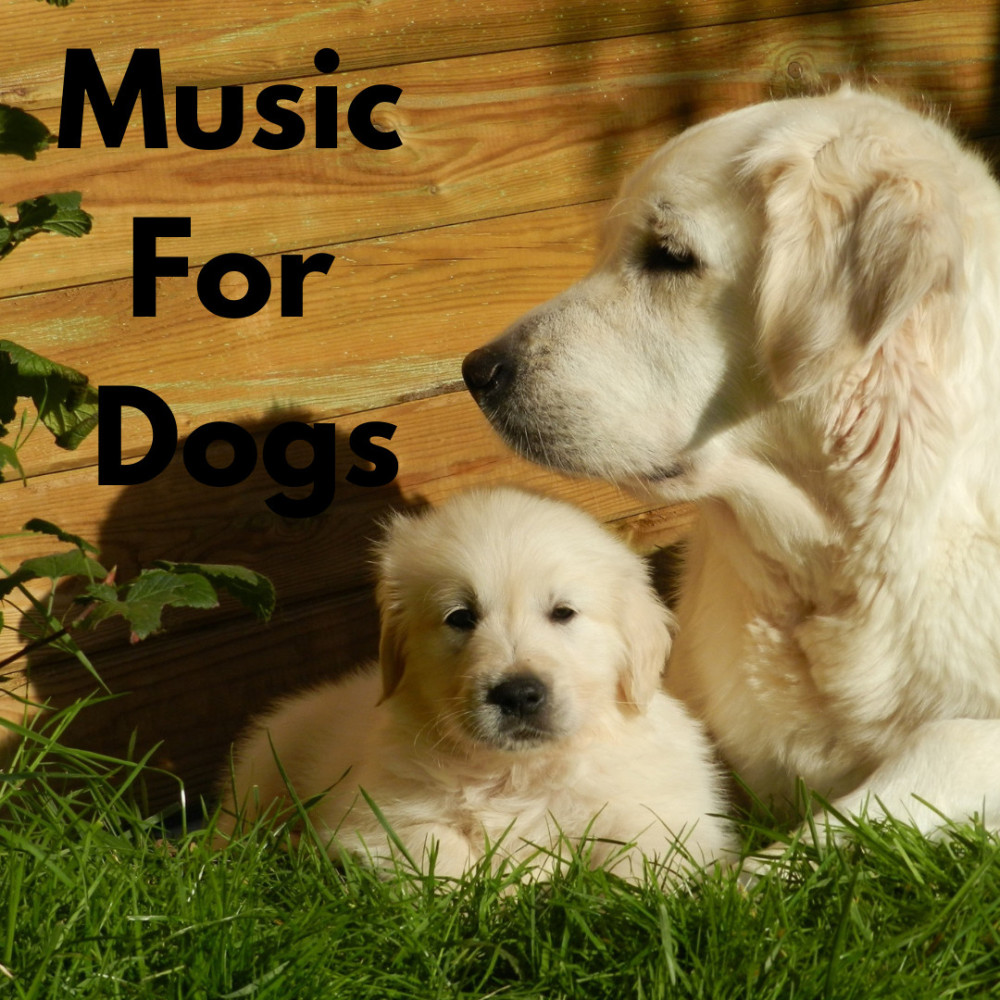 Music For Dogs อัลบั้มของ Music For Dogs Music For Dogs Peace Relaxing ...