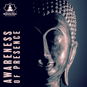 Mindfulness Meditation Music Spa Maestro的專輯Awareness of Presence