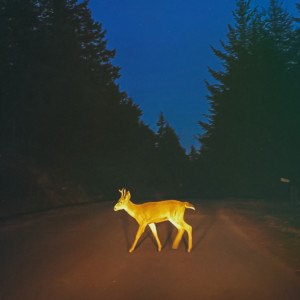 VagueEightysix的專輯Natureboy