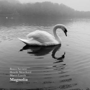 Marco Lucchi的专辑Magnolia