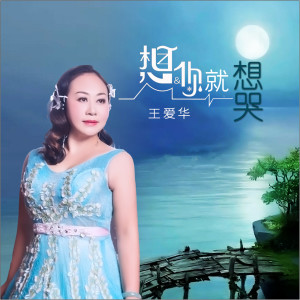 收聽王愛華的想你就想哭(DJ何鵬版) (完整版)歌詞歌曲
