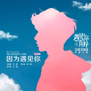 Listen to Since We Met song with lyrics from Roy Wang (王源)