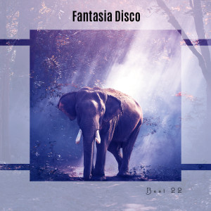 Various Artists的專輯Fantasia Disco Best 22