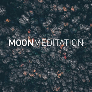 Listen to Zazen song with lyrics from Moon Musica Per Dormire