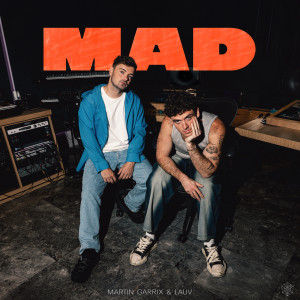的專輯MAD