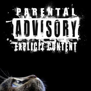 收聽Lord Chanin的****! ****! (Explicit)歌詞歌曲