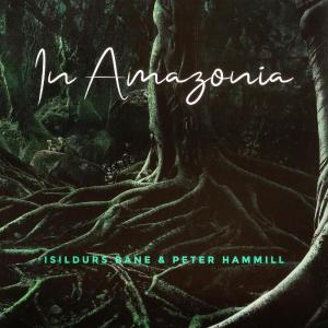 อัลบัม In Amazonia ศิลปิน Peter Hammill