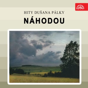 Various Artists的专辑Náhodou. Hity dušana pálky