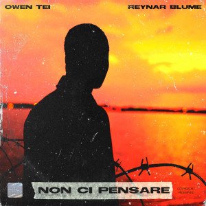 Album Non ci pensare from Owen Tei