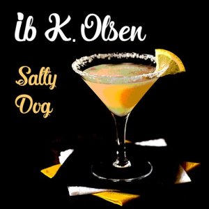 ดาวน์โหลดและฟังเพลง Salty Dog พร้อมเนื้อเพลงจาก Ib K. Olsen