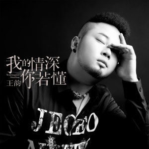 Listen to 我的情深你若懂 song with lyrics from 王韵