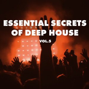 Various Artists的專輯Essential Secrets of Deep House, Vol 5