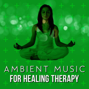 ดาวน์โหลดและฟังเพลง Singing Wire พร้อมเนื้อเพลงจาก Ambient Music Therapy
