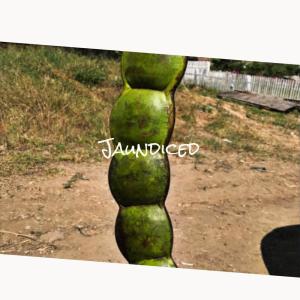 Listen to Grip Within song with lyrics from Jeran Joop