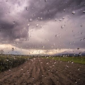收听Rain Sounds的Cloudy Days歌词歌曲