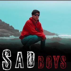 Listen to SAD BOYS song with lyrics from Dariel