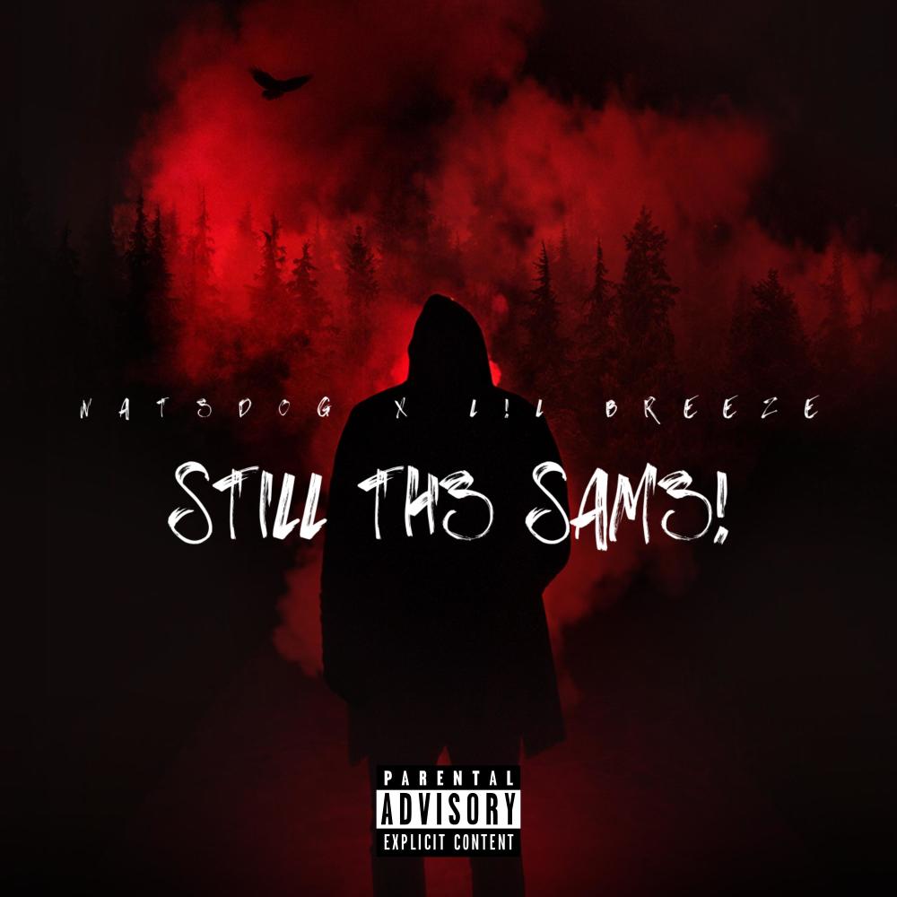 STILL TH3 SAM3! (feat. L!l Breeze) (Explicit)