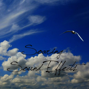 收聽Soaring Sound Effects的Army March Footsteps Runnng Double Soldiers Sound Effects Sound Effect Sounds EFX Sfx FX Crowd Sounds Military Crowd Sounds歌詞歌曲