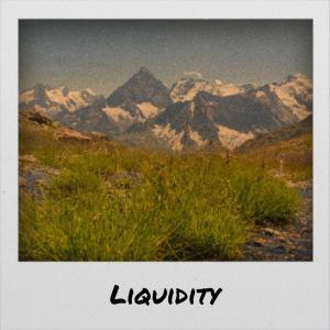 Various的专辑Liquidity