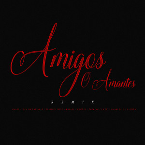 Listen to Amigos O Amantes (Remix) song with lyrics from Narell