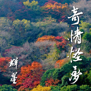Album 奇情怪梦 from 杨千霈