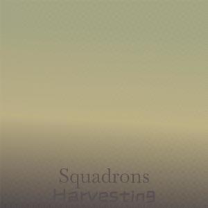 อัลบัม Squadrons Harvesting ศิลปิน Various