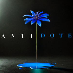 Listen to MONNAIE 35K song with lyrics from Sabri