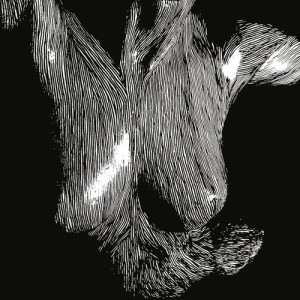 ดาวน์โหลดและฟังเพลง Ransoms พร้อมเนื้อเพลงจาก Oceansize