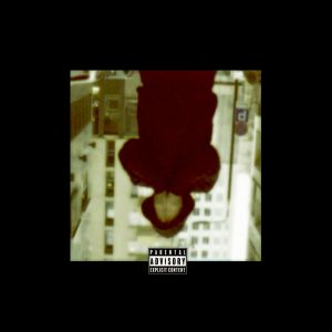 Album Żółć (Explicit) from Schneider