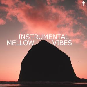 Album Instrumental Mellow Vibes from Crinkles