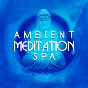 收聽Meditation Spa的Birds by the Waterside歌詞歌曲