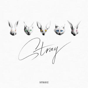 STRAYZ的專輯Stray