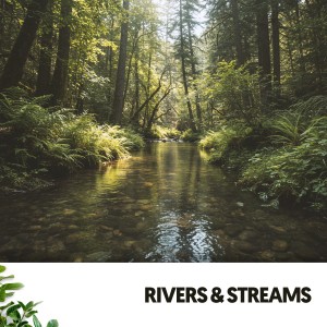 Ruido Blanco Hart的專輯Rivers & Streams: Melodies of Flowing Waters