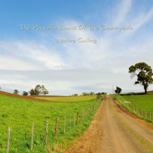Dengarkan lagu The Peaceful Sound Of The Countryside nyanyian 네이쳐콜링 dengan lirik