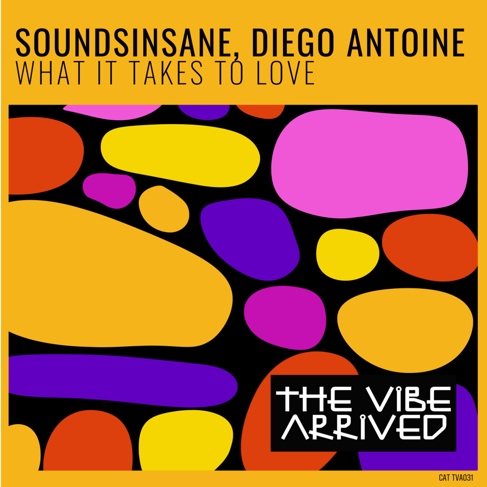 What It Takes To Love (Extended Mix)