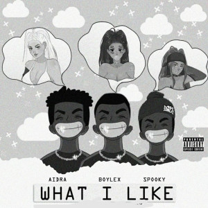 Album What I Like (Explicit) from Spooky