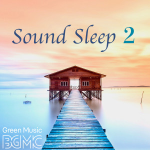 Listen to Peaceful Sound song with lyrics from Green Music BGM channel