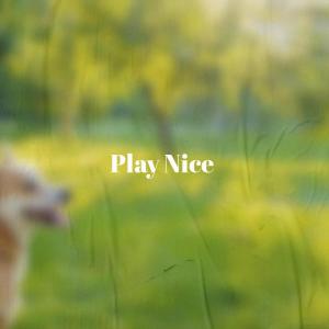 Listen to Whirlybird Walking song with lyrics from Hyra Weer